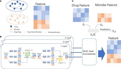 MDGNN: Microbial Drug Prediction Based on Heterogeneous Multi-Attention Graph Neural Network